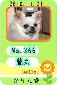 サンプル